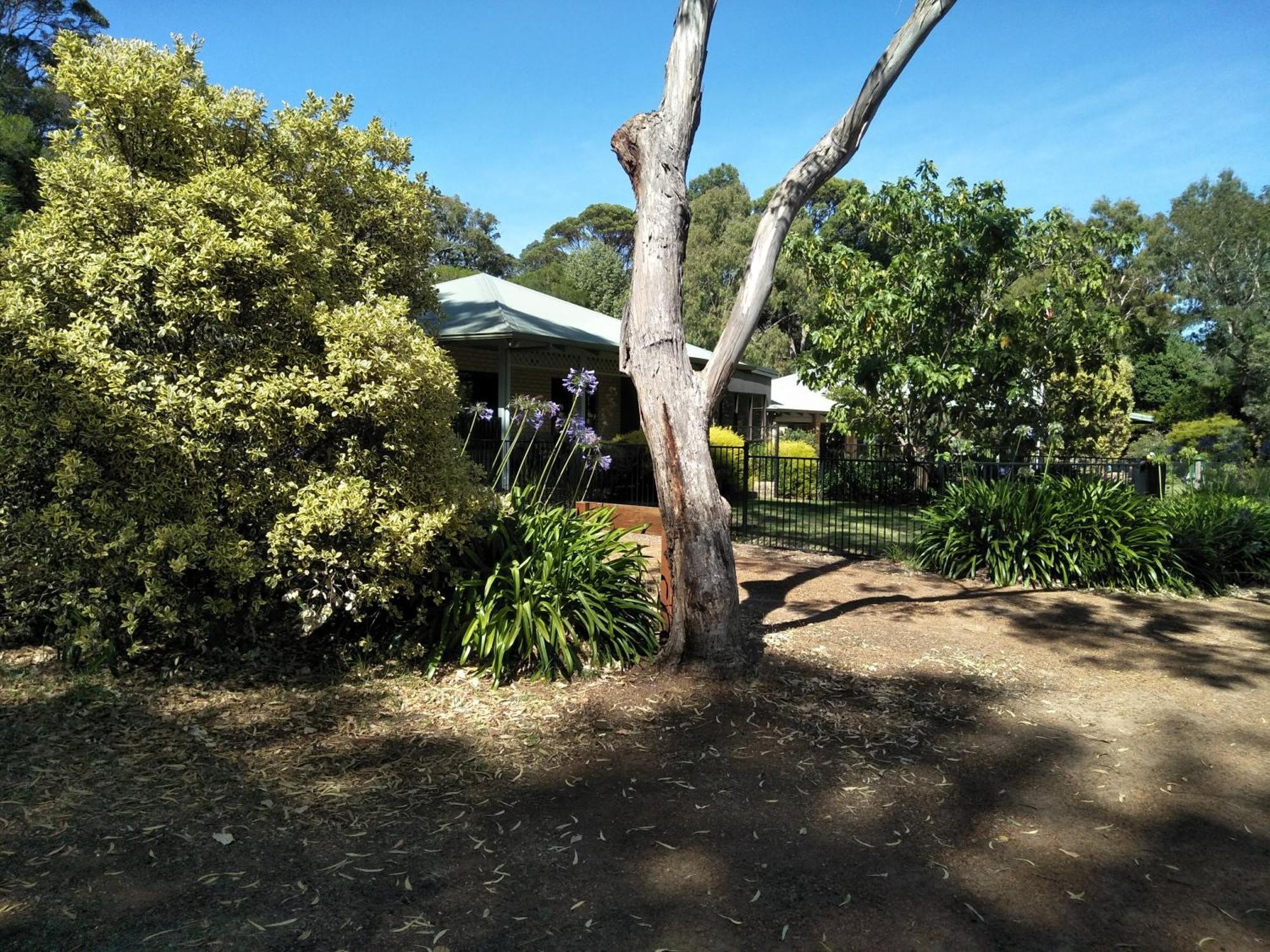 Апартаменти Margaret House Margaret River Екстер'єр фото